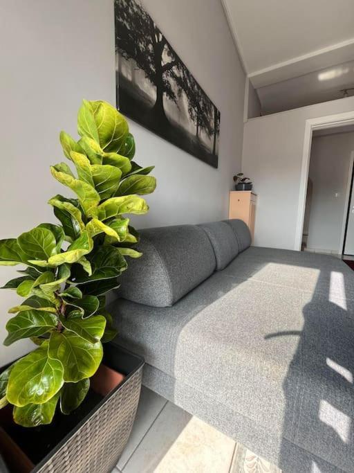 Maria'S Sunlit Apartment Пирей Экстерьер фото